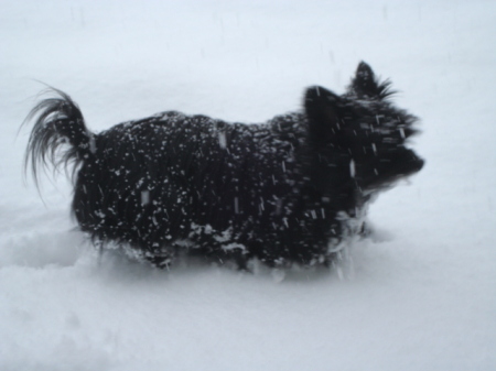 Shadow in the snow