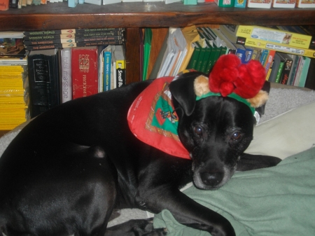 dayday as raindeer 2009 2