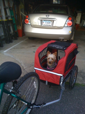 Co-Pilot