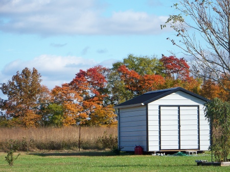 Our property in the fall '09