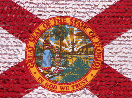 the state flag