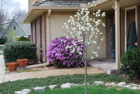 Spring in Kansas