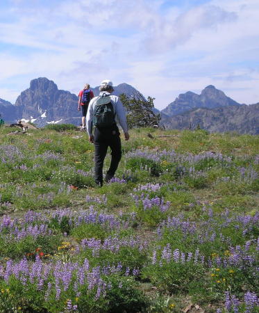 Seven Devils Mountains, August 2008