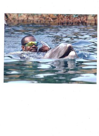 discovery cove 006