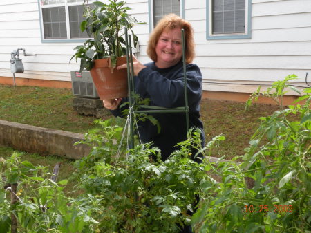 patio peppers