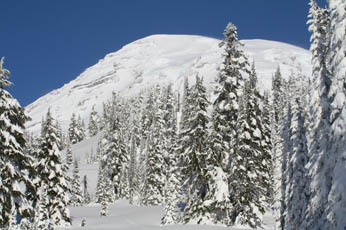 Mt. Rainier in January