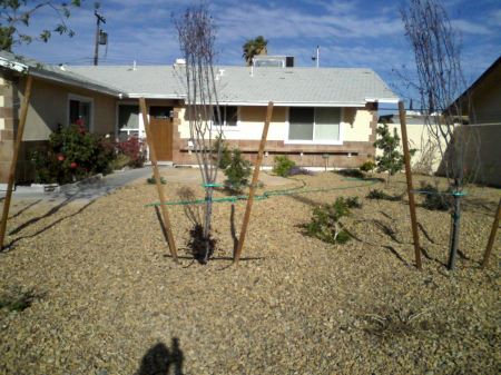 New desert landscaping!