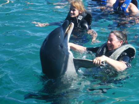 Swimming with the Dolphins in Nassau