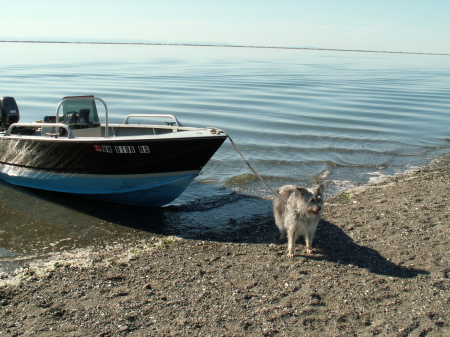 GUARDS BOAT