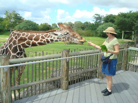 a beautiful day at the zoo