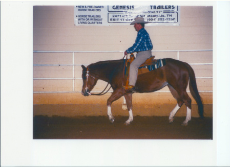 A'int I Sexy in Show Ring