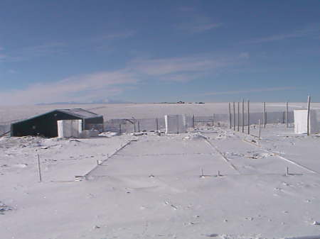 snowy walk to the barn