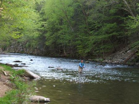 Trout Fishing in PA