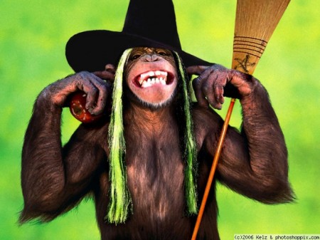 normal_monkey_witch