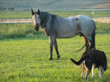 Zapata and BeBe the dog