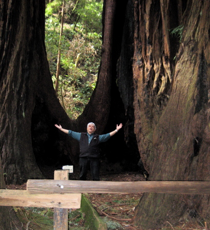 Muir Woods & Me.