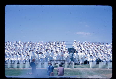 1964. San Pedro High School Graduation S'64