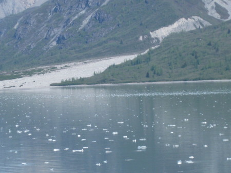 glacier bay