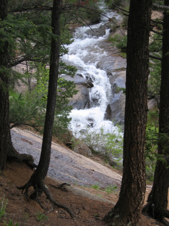 Colorado Springs, Co.