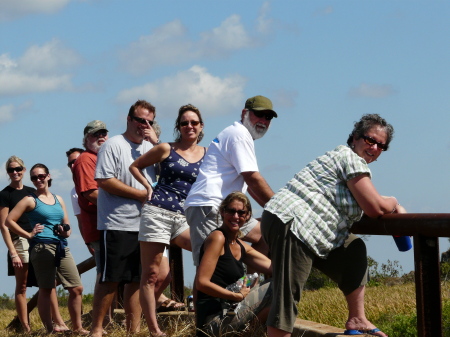 looking at the gators on the buggy bridge