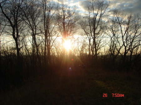 sun rising on my treestand