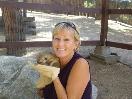 Me - visiting with a meerkat