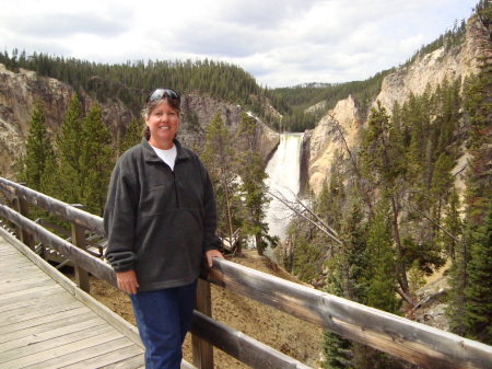 Yellowstone Falls