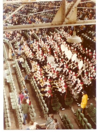Marching Cards at Wrigley Field