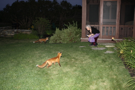 My Mother-in-law talking with the fox