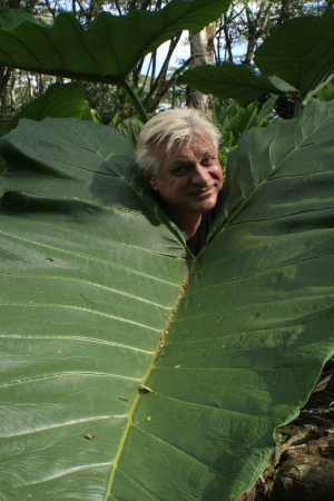 Leaf Head