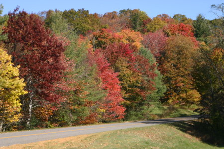 Blue Ridge Parkway in October!