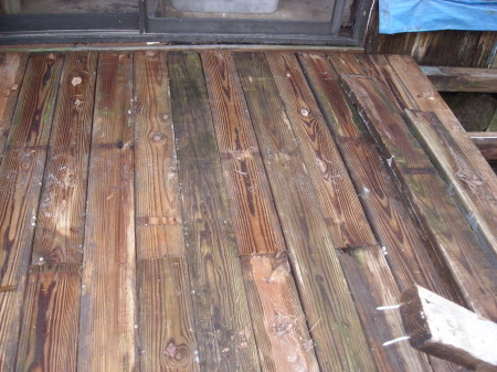 The new back deck/2009