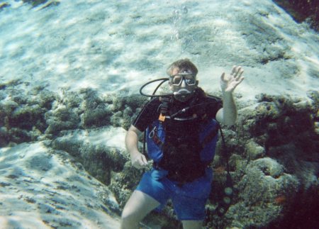 scuba diving in bermuda