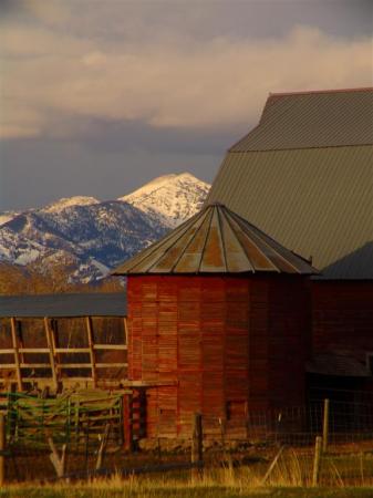 Montana Red, White and Blue