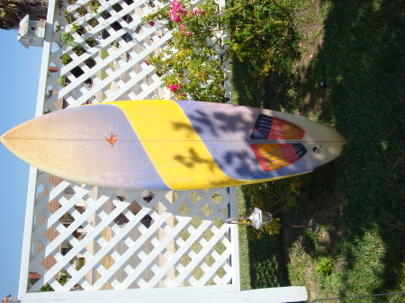 twinfin thruster -fish custom one of a kind.