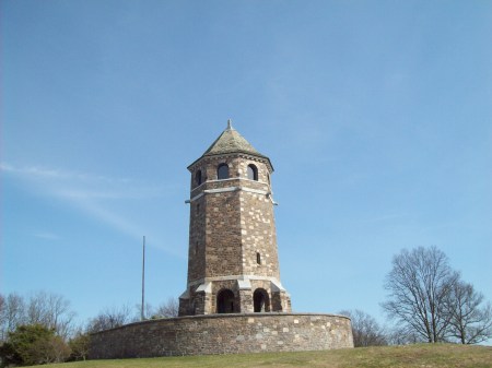 the tower