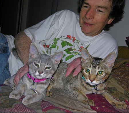 John & our new kitties