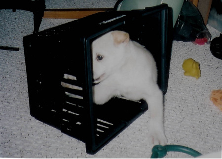 Playing in her toy box