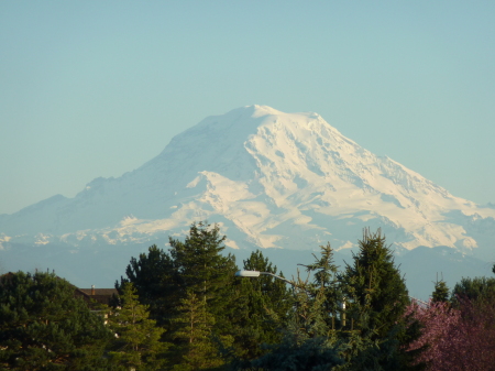 Mt Rainier from Souht Sound