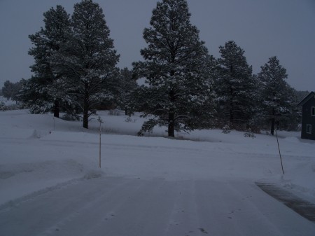 snow at end of driveway