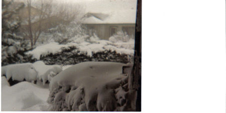 Aurora Colorado, 1988, My front yard