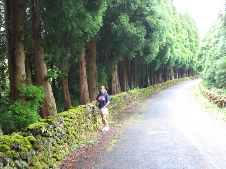 Teceira Island, Azores