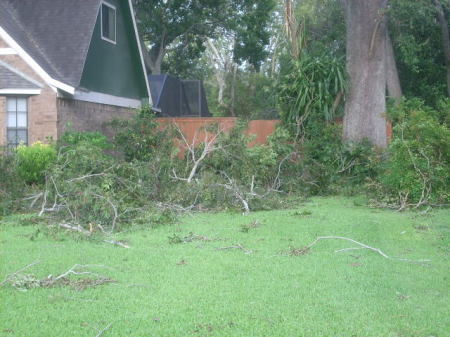 Ike damage...only tree limbs