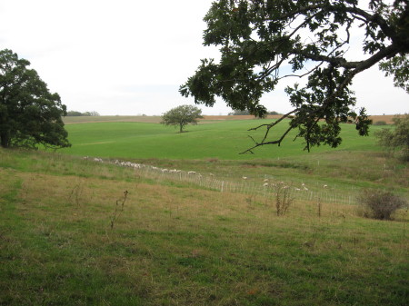 Nearing Fall at Spring Oak Farm