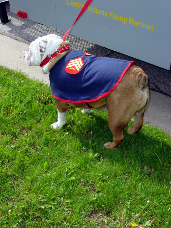 "Sarge"....in his dress blues.