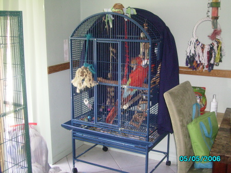 WONKEE OUR MACAW