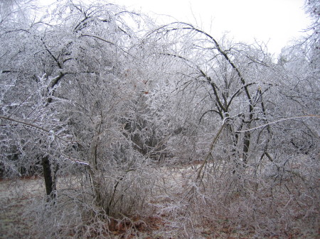 2008 Ice Storm