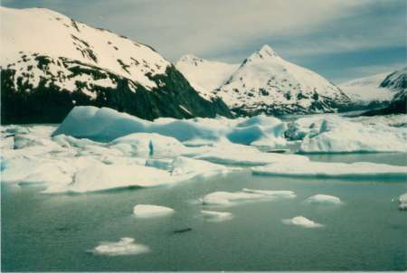 Icebergs in Alaska 1990