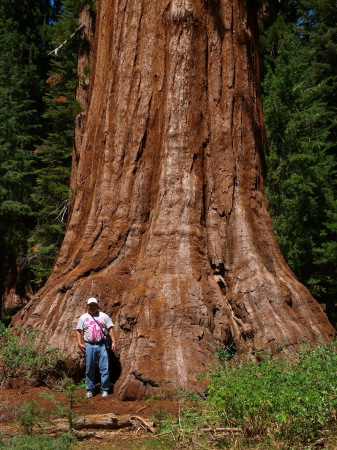 Yosemite