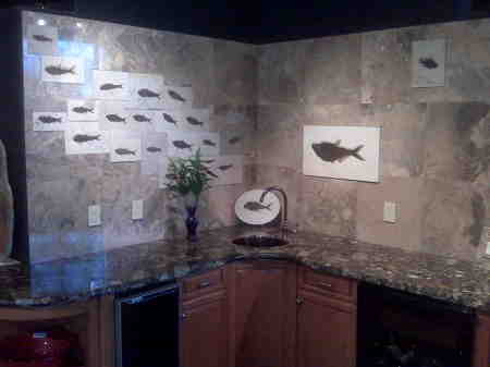 A Wall Design Using Fossil and Marble